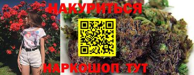 крисы Славгород